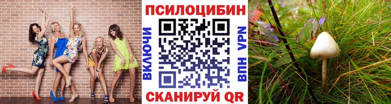 продажа наркотиков  Воронеж  Галлюциногенные грибы Cubensis 
