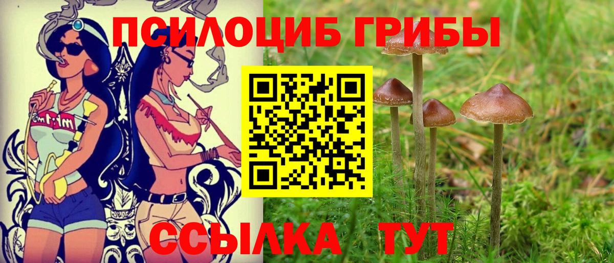 Галлюциногенные грибы Psilocybe  Вход с VPN  Псилоцибиновые грибы Magic Shrooms  Воронеж 