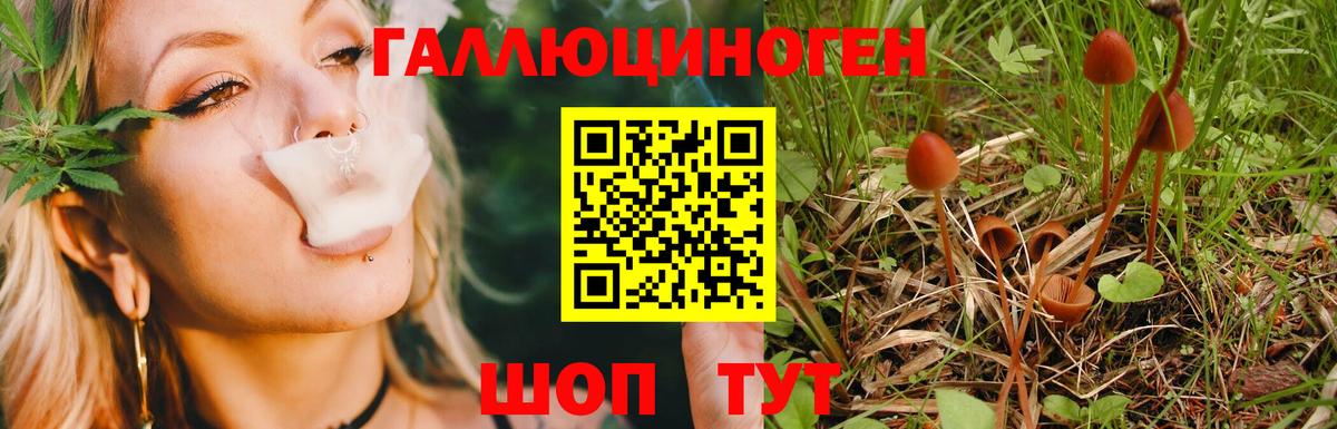 Галлюциногенные грибы GOLDEN TEACHER Воронеж